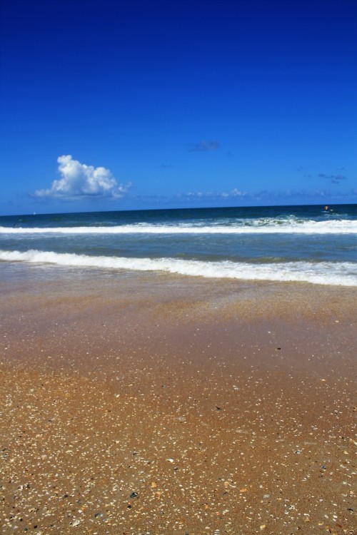 Anastasia Beach, St. Augustine, FL. 8/5/18 (Canon EOS Rebel XS)(Do not remove caption)