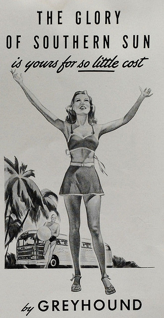 sedraselections:  Worshipping Ra by paul.malon on Flickr. 