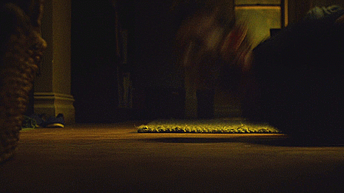tumblr_p3r55qOUqV1w4na6go5_500.gifv