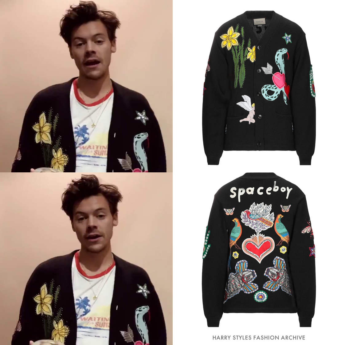 harry styles gucci hoodie