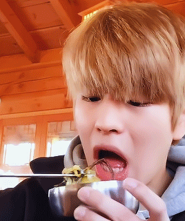 Hungry Puppy