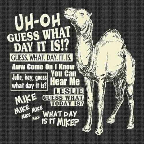 #humpday #Wednesday #camel