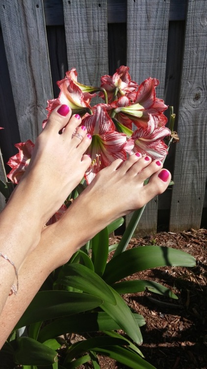 cute10toes: Springtime! #toes #feet #barefeet