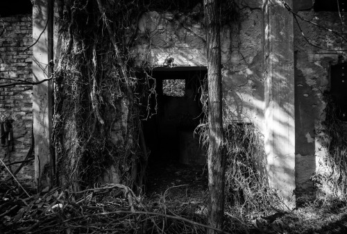 Beyond the Door A new urbex adventure is about to begin. In the next photos you will see silent pla