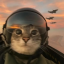 tomcat-15