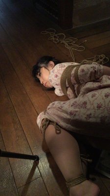 japanesebdsmofficial:Shibari Kasumi HouraiModel
