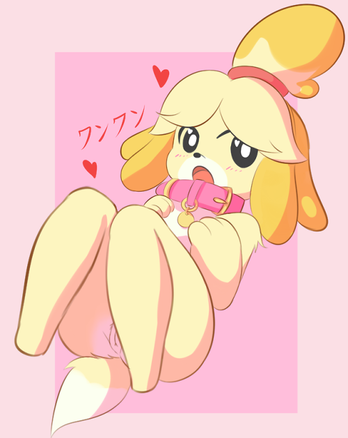 zyleyz: found this puppy, who wants to adopt her?KO-FI (◕ᴗ◕✿) ||  Twitter