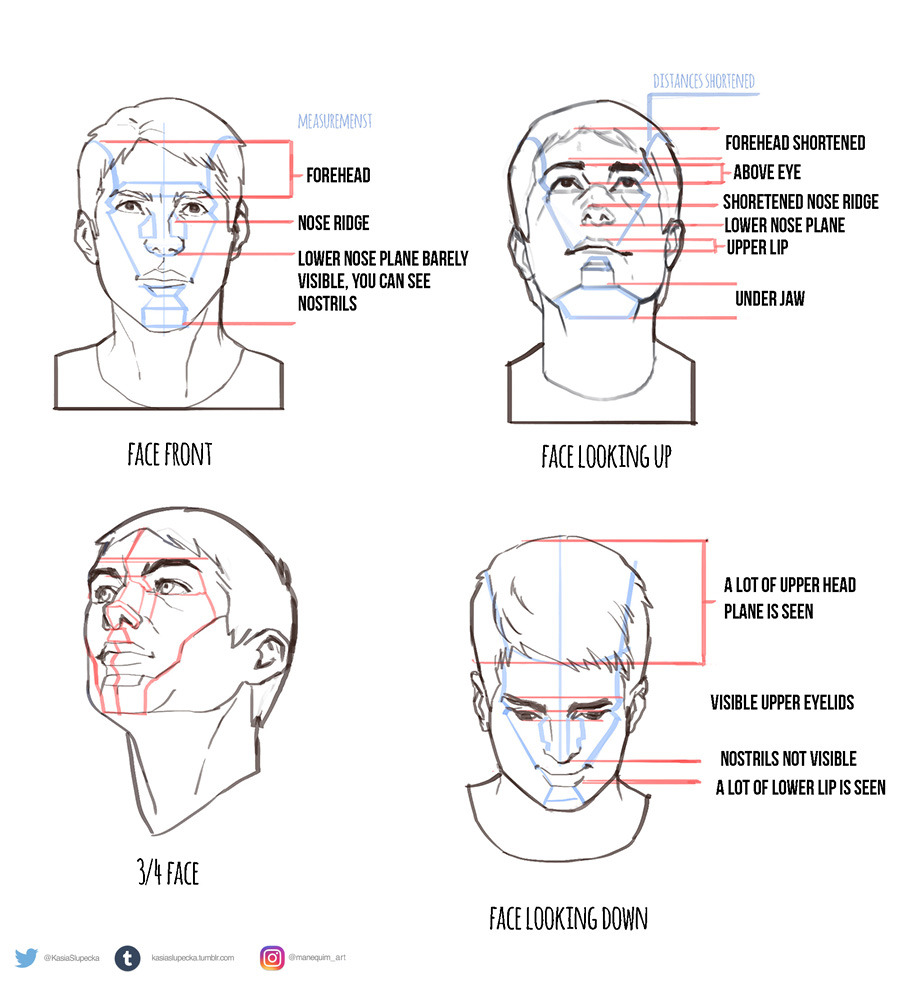 kasiaslupecka: Some notes on drawing head.  I have very analytical approach to drawing