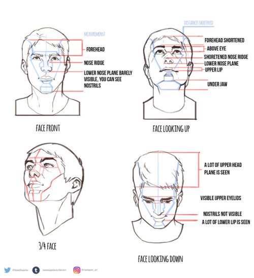 kasiaslupecka: Some notes on drawing head.  I have very analytical approach to drawing and this is what helps me with drawing head correctly. There are so many things to think about when it comes to head. This approach really helps me to focus on my
