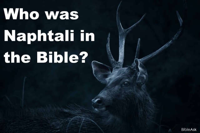 BibleAsk On Tumblr bibleask-on-tumblr