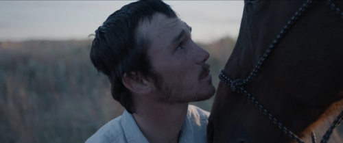 freakin-deakin:The Rider (2017)Dir. Chloé ZhaoCinematography: Joshua James Richards