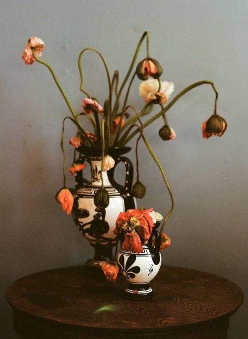 beatpie:  Parker Fitzgerald for Kinfolk