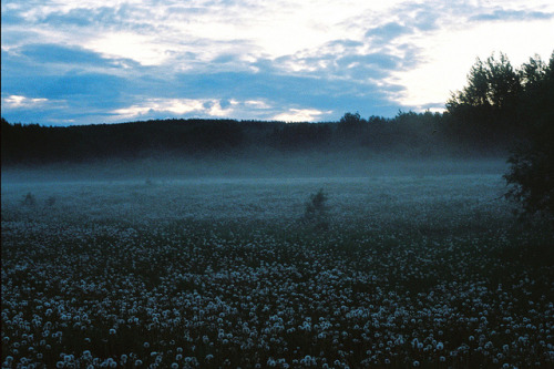 grett:  field of god. by amanda.venner on Flickr. 
