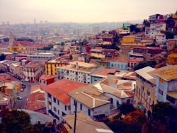 Cerro Bellavista, Valparaíso - Chile