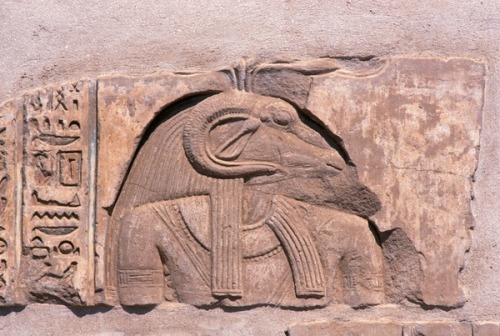 egypt-museum:Relief of God KhnumLow relief depicts the Ram-headed god Khnum, detail of a wall carvin