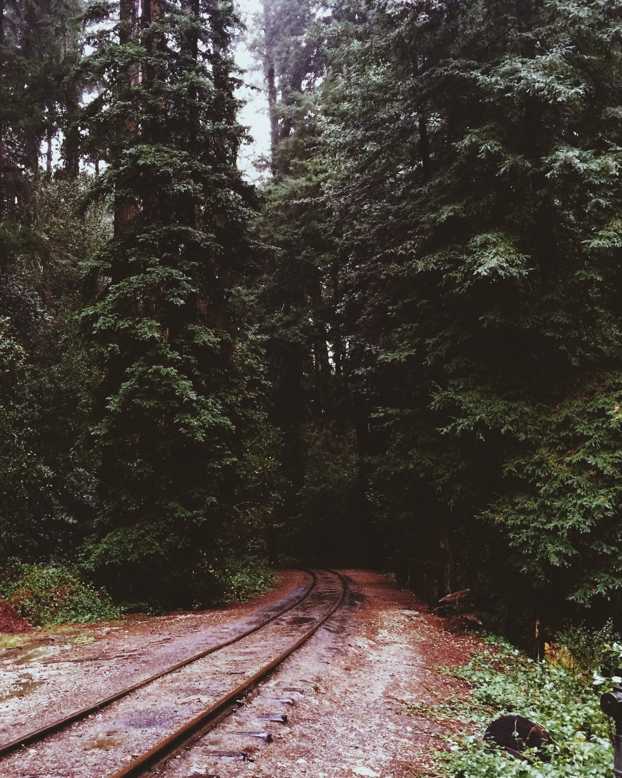 danielodowd:  JAMIECHIN