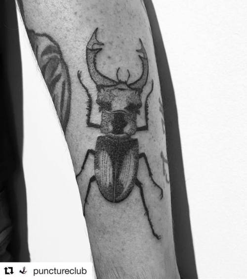 + Eentje van heel lang geleden. . . . . . . #stagbeetle #handpoke #tattoo #dotwork #handpushed #hand