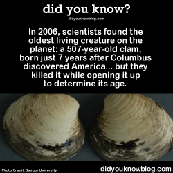 did-you-kno:  In 2006, scientists found the