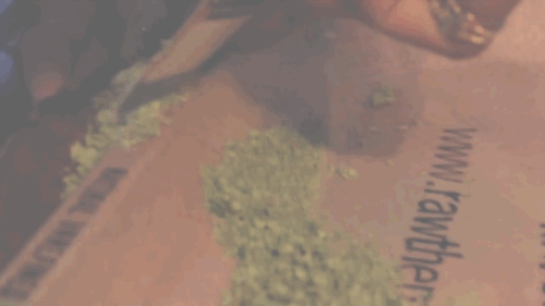 theixxixx:  pattyeffinmayo choppin n rollin. [x]