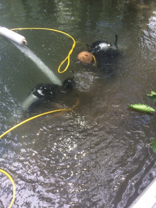 Submerged prehistoric archaeology, July 2017