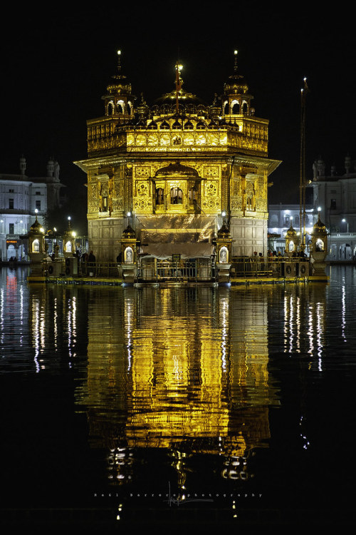 Golden Temple. Amritsar, Punjab. India.-1 by Raúl Barrero fotografía www.raulbarrero.com fli