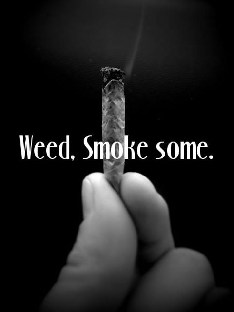 bringtheweedhere:  Weed, Smoke some. http://bringtheweedhere.tumblr.com/ 