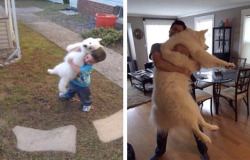 awwww-cute:The ratio of dog to boy stayed constant (Source: https://ift.tt/2NeNwWM)