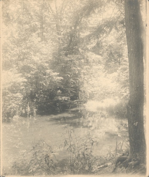 memoryslandscape: dame-de-pique: George Mark Wilson, Cobbs Creek, 1923