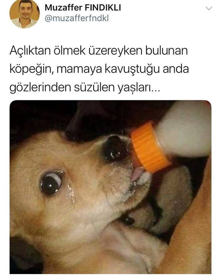 Muzaffer...