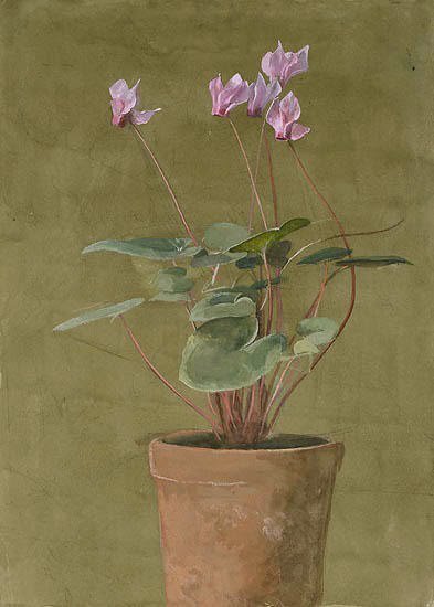 Pink Cyclamen    -    Fidelia Bridges  ca. 1870American  1834-1923