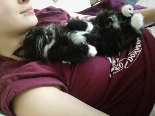 lost-lil-kitty:  It’s like she can never quite be close enough.