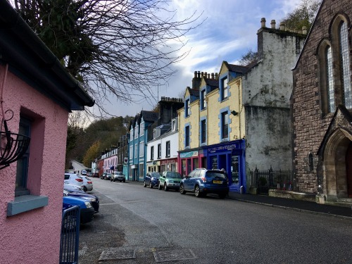 Colourful Tobermory, Mull