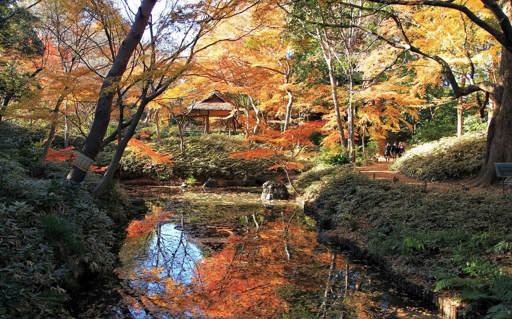 todayintokyo:  Autumn in Rikugien (六義園) 