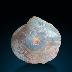 bijoux-et-mineraux:  Opalized Shell -  Coober