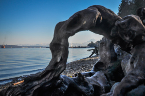 watching.I was originally just trying to capture mount rainier in the frame created by the log but w