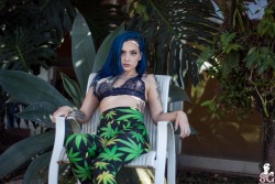 sglovexxx:SG Hopeful Vanp in Sweet Leaf