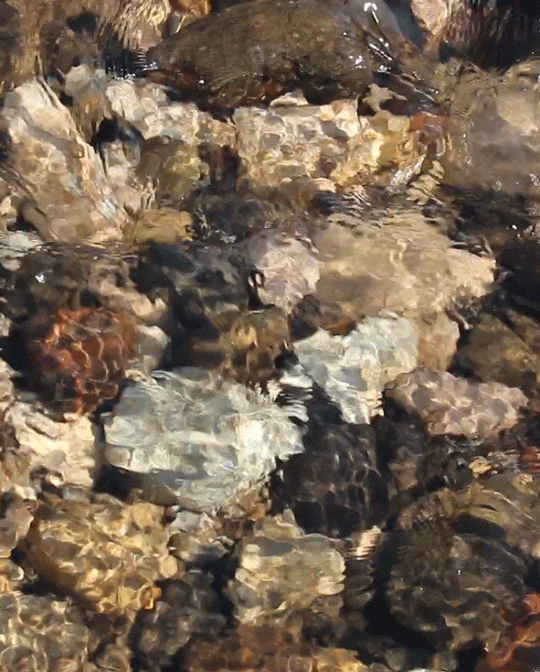 tumblr_oylyy9NX9c1vj0ol1o1_540.gifv
