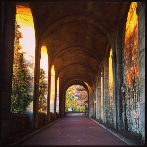 Under the ledge. #fttryon #inwood #washingtonheights #uws #nyc #newyork #newyorkcity #instagood #ins