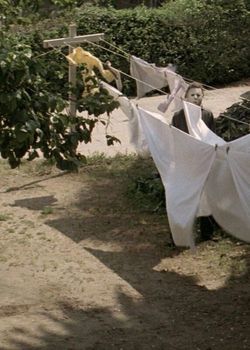 brundleflyforawhiteguy:Halloween (1978)