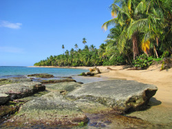 tropisphere:  Puerto Viejo, Costa Rica.