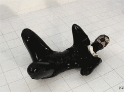 Master and Pup-pet's place