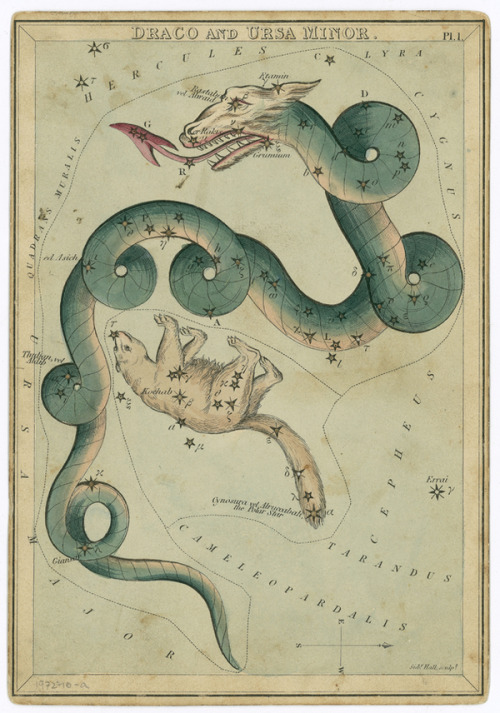 arsarteetlabore:© National Museums Scotland&ldquo;Aimed at the astronomy amateur, this edit