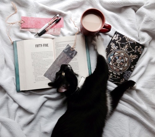 bookmad:buttermybooks:Someone decided to interrupt my photo and I cant even be mad about it. bookmar