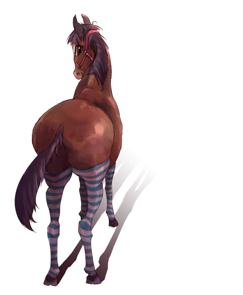 This is &ldquo;Rarity&rdquo;, my friend Vet-Wrap&rsquo;s horse. Vet-Wrap