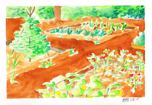 kiera-scribbles:Watercolor Garden