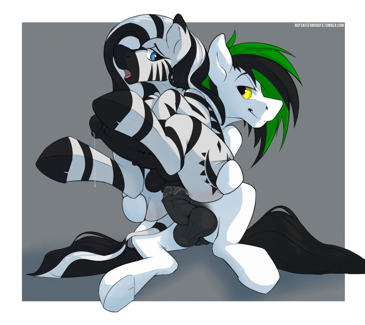 notsafeforhoofs:  Some zebra filling action, Ziya the zeeb and TranceSequence the