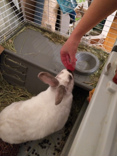 Strawberry!