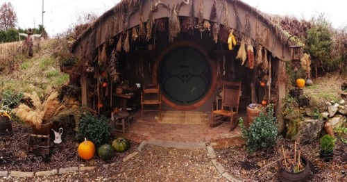 wombat-annihilator:beardedzombietech:voiceofnature:Hobbit’s Dream- On Airbnb@wombat-annihilato