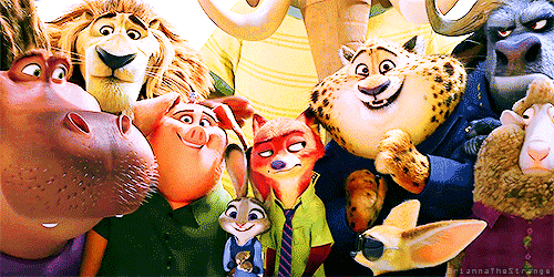 zevti:thefirstbunnycxp:I love this gif photoset. Also, look at how Judy glances over Nice at some parts. They’re adorable!UPPER RIGHT-HAND CORNER!   UPPER RIGHT-HAND CORNER!  IS ANYONE ELSE SEEING THIS!? Moo <3AHHHH I NEED THIS MOVIE RIGHT NAO