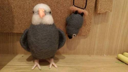 reinechen:  #cockatiel #africangrey #parrot #needlefelting